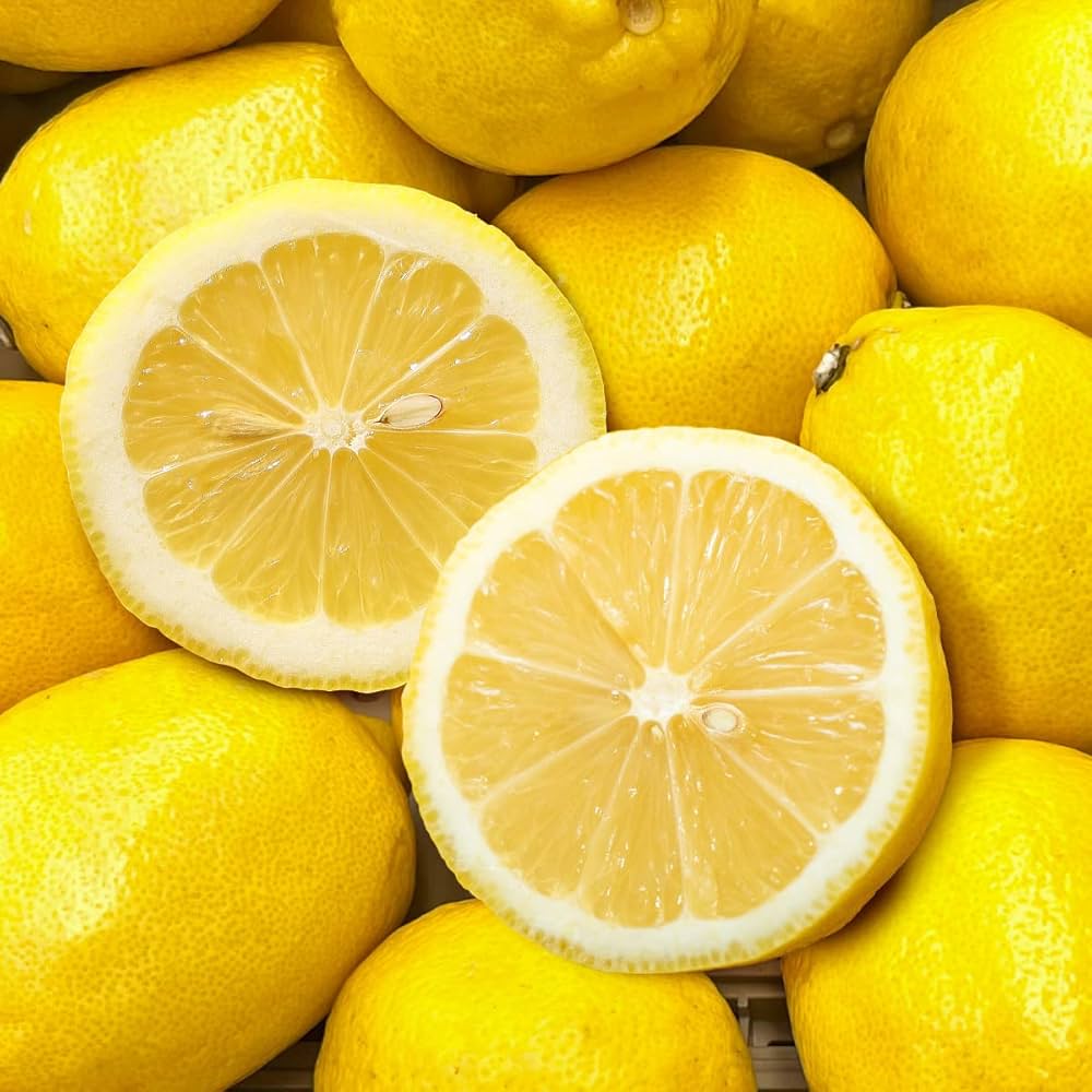 レモン☆ Lemon レモン 1990年4月 - メルカリ